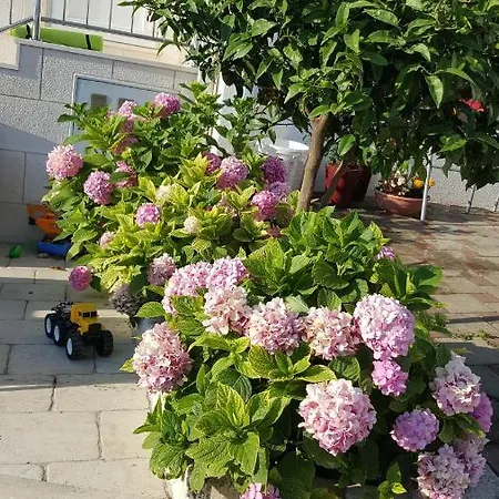 Ira * Dubrovnik