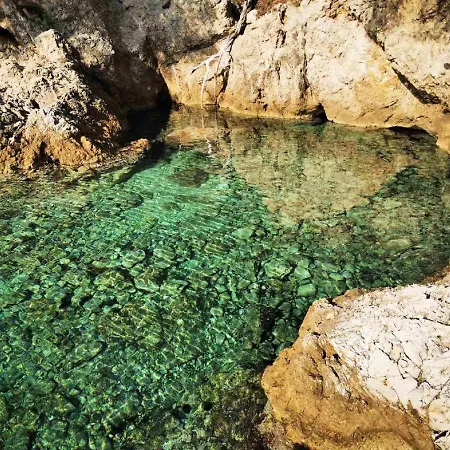 Ira Дубровник