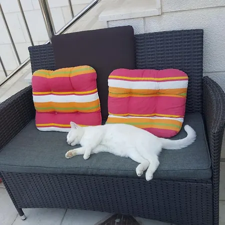 Ira Dubrovnik