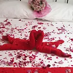 Ira * دوبروفينك