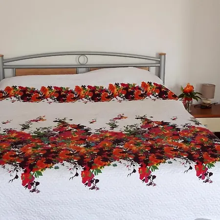 Apartman Ira *