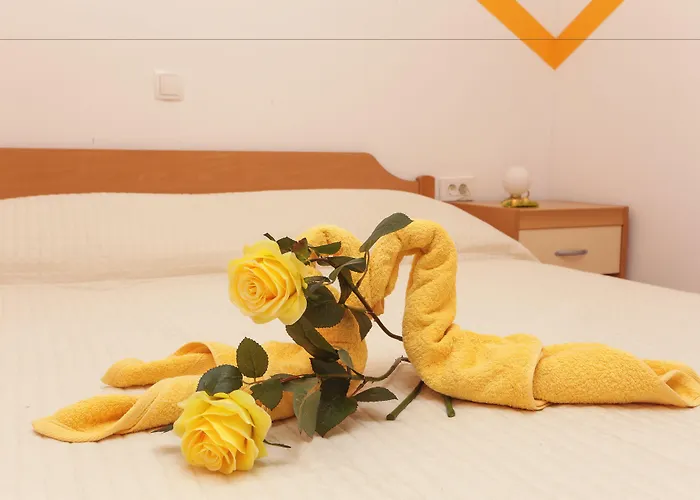 Ira Apartament